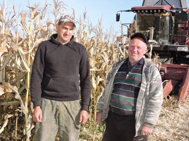 ***🌽*** **Сельхозпредприятия Докшицкого района** [продолжают](https://www.dokshitsy.by/2024/10/selxozpredpriyatiya-dokshickogo-rajona-prodolzhayut-zagotavlivat-korma/) **заготавливать …