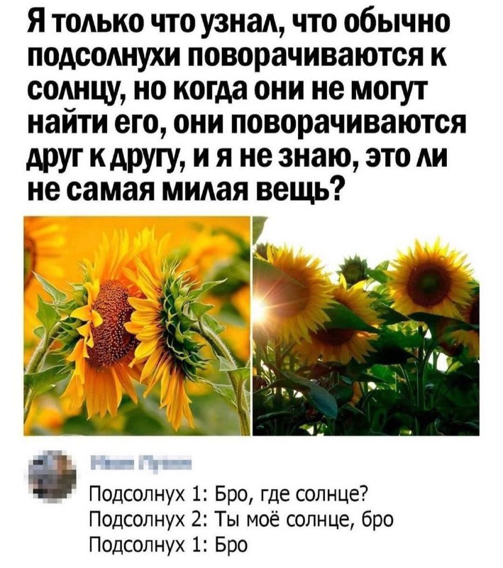 Наследие Рода🌳Ключ к процветанию