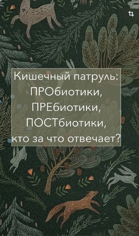 Кишечный патруль: пробиотики, пребиотики и постбиотики …