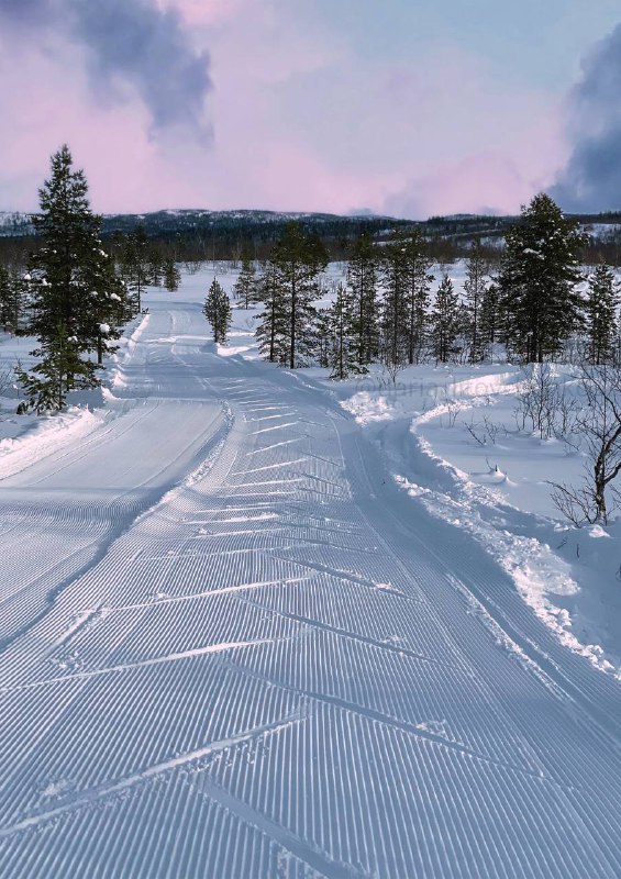 [​​](https://telegra.ph/file/1d80060ce4fe9999b7a8c.jpg)**Приветствую, спортсмены клуба ProBiathlon!*****🏆***