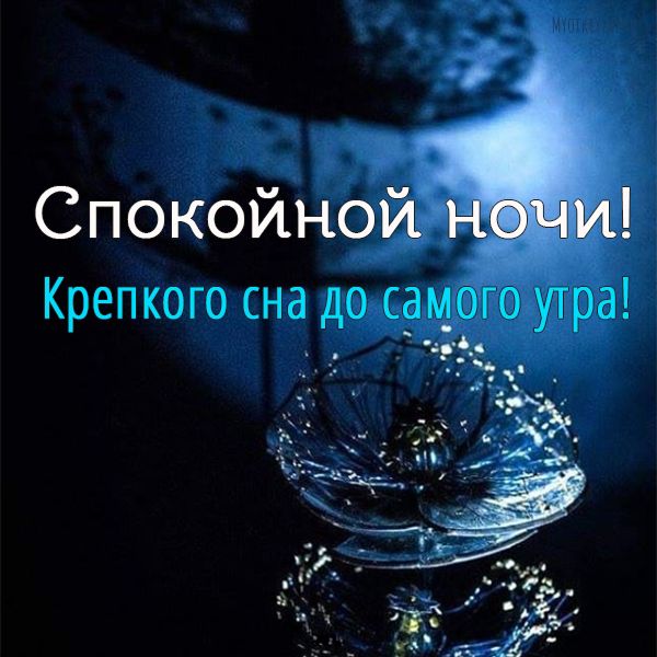 ***✨*** Спокойной ночи, друзья! ***🌙***