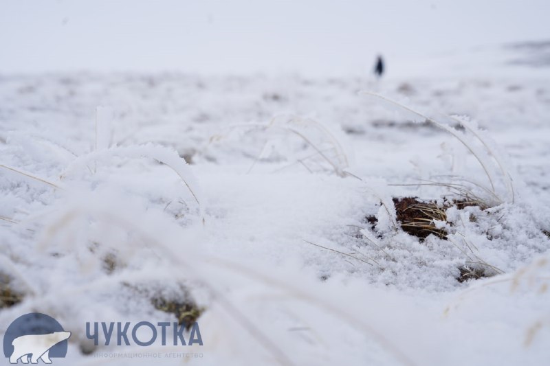 ***🌨*** 20 декабря на Чукотке переменная …