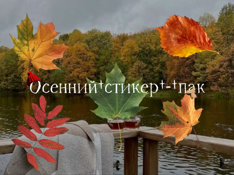 ******🍂***Стикер - пак из листьев ***🍁******