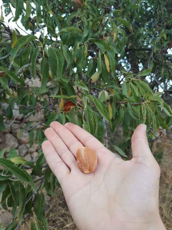 Prodotti biologici Sicilia😊