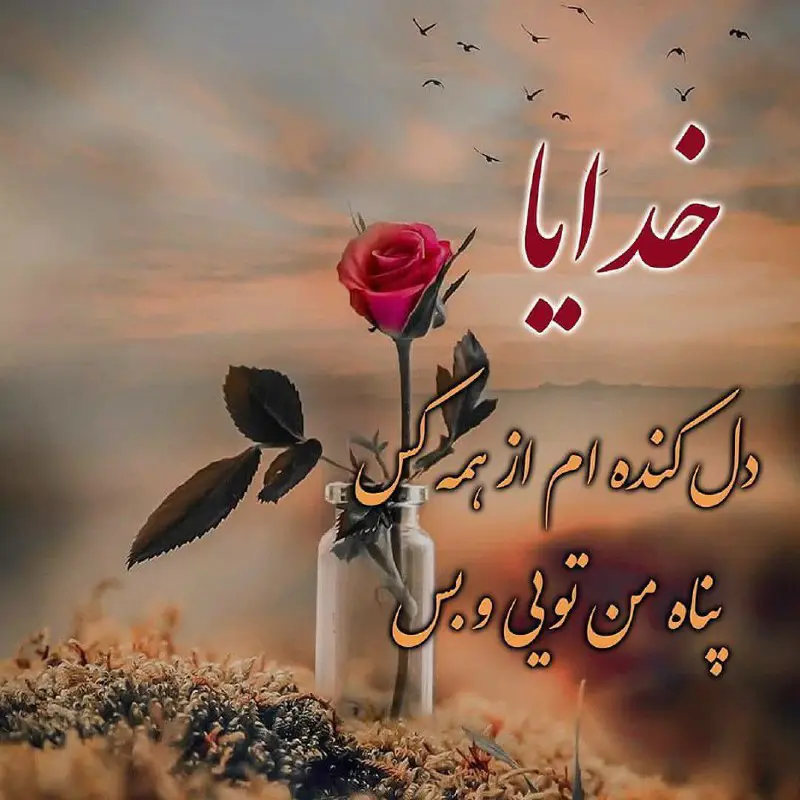 ❤پــروفـــآیـــݪ❤