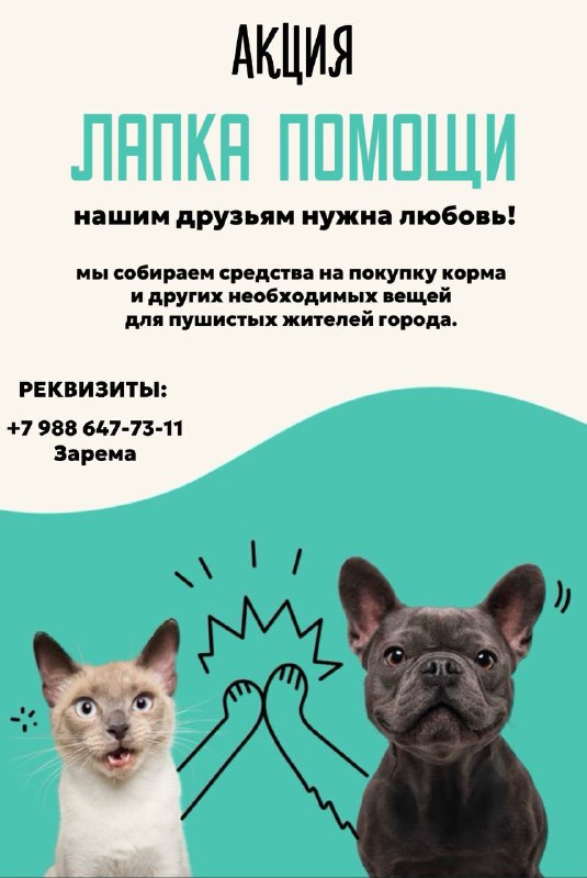 **Спасение одного кота не изменит мир. …