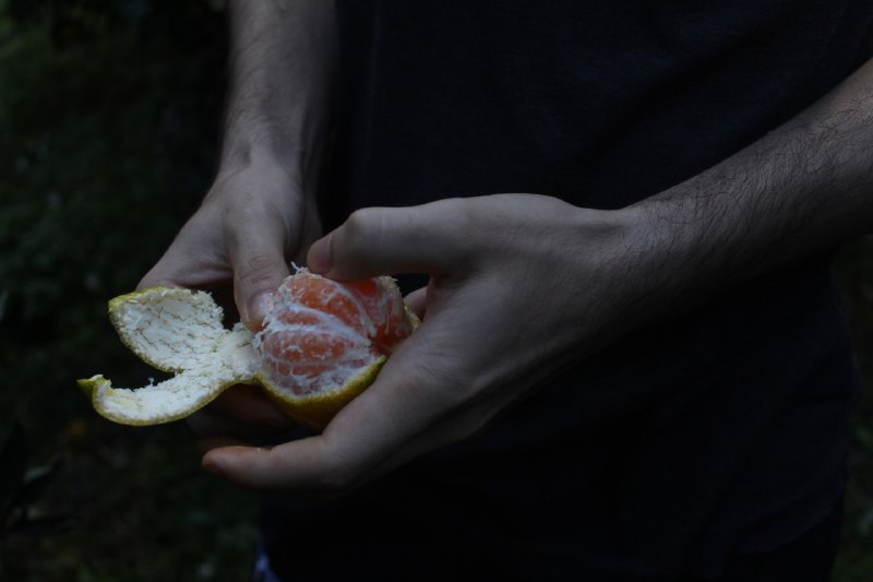 profumo di pioggia