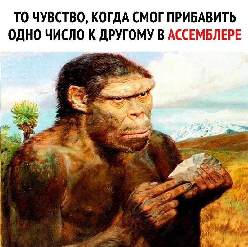 Программист