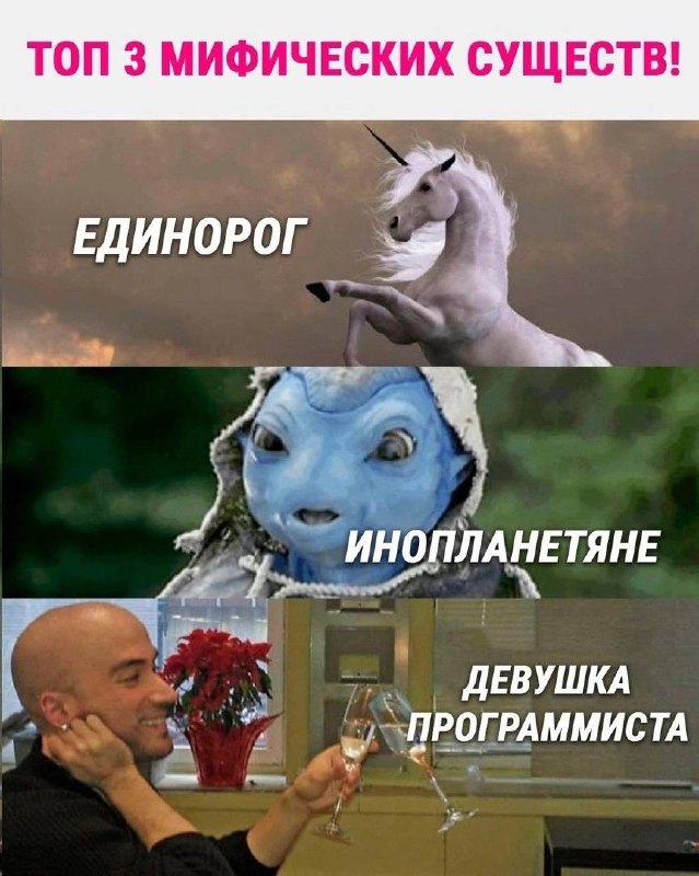 Программист