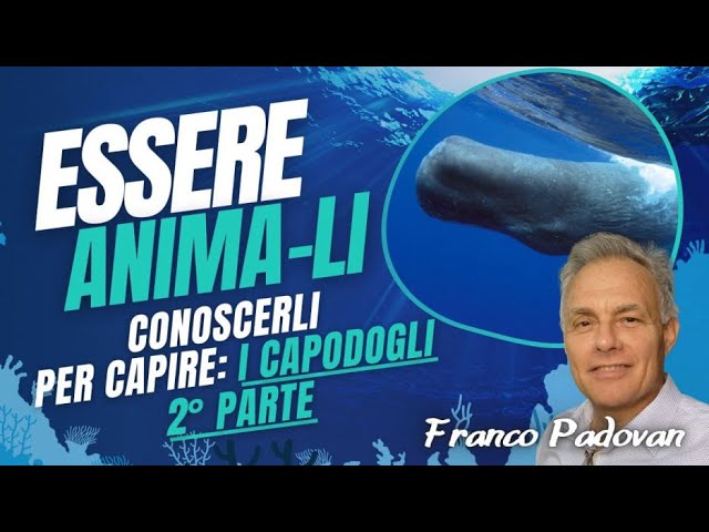 ***😌*****Essere ANIMA-LI: I Capodogli parte 2 …