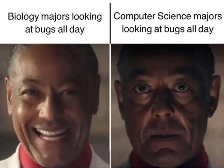 [Meme] bugs