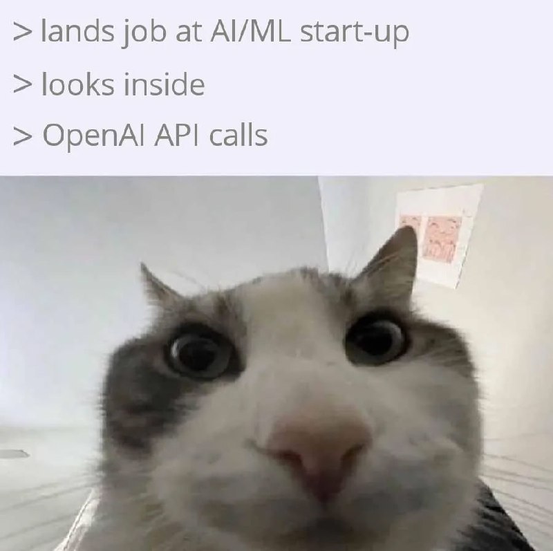 [@ProgrammerHumor](https://t.me/ProgrammerHumor) AI