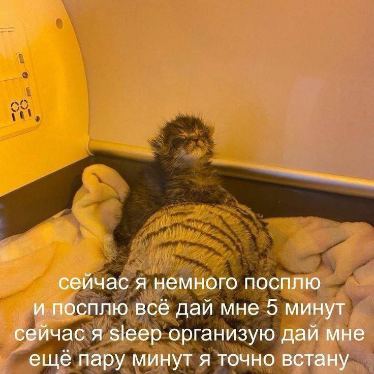 Абсолютно господи я