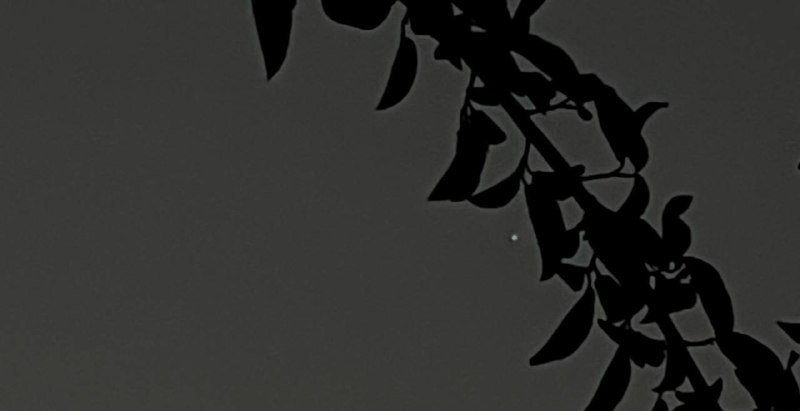 ***⭐️***