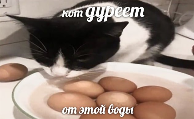 проклятый старый мем