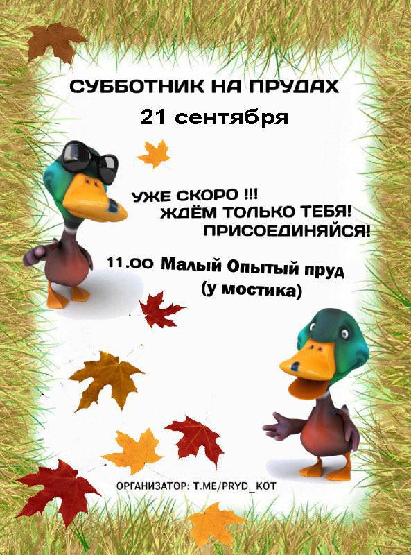 ***🦆***Соседи, ждем вас на осенний прудотник!***🦆***