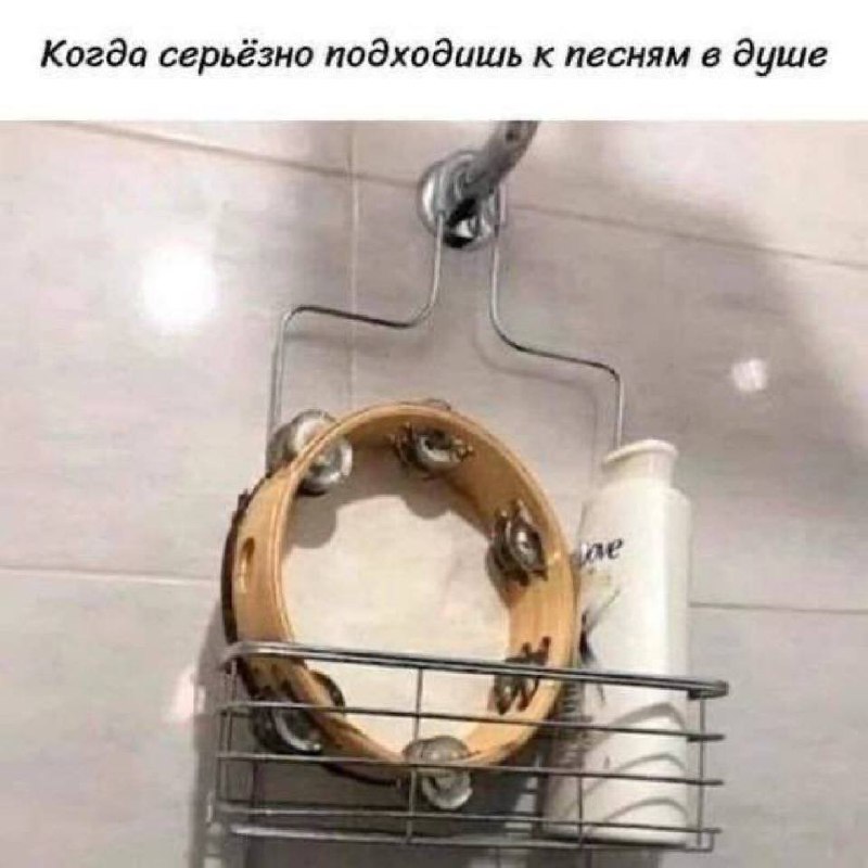 Psa popierdolilo