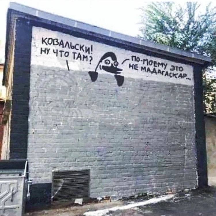 Psa popierdolilo