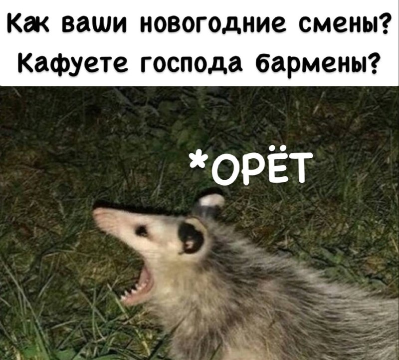 Псы похмелья