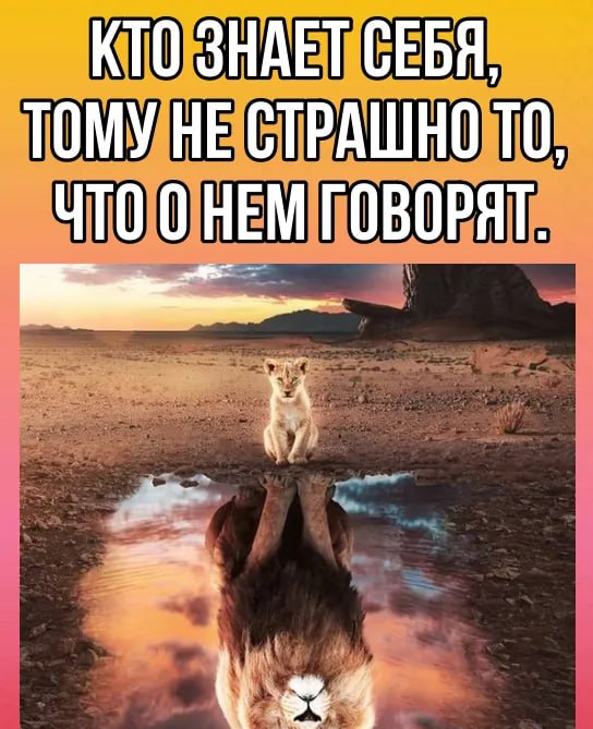 [**Психология**](https://t.me/psihologiya_rus) | [#психология](?q=%23%D0%BF%D1%81%D0%B8%D1%85%D0%BE%D0%BB%D0%BE%D0%B3%D0%B8%D1%8F) [#цитаты](?q=%23%D1%86%D0%B8%D1%82%D0%B0%D1%82%D1%8B) [#отношение](?q=%23%D0%BE%D1%82%D0%BD%D0%BE%D1%88%D0%B5%D0%BD%D0%B8%D0%B5)