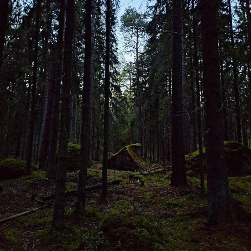 Психолог о психотерапии