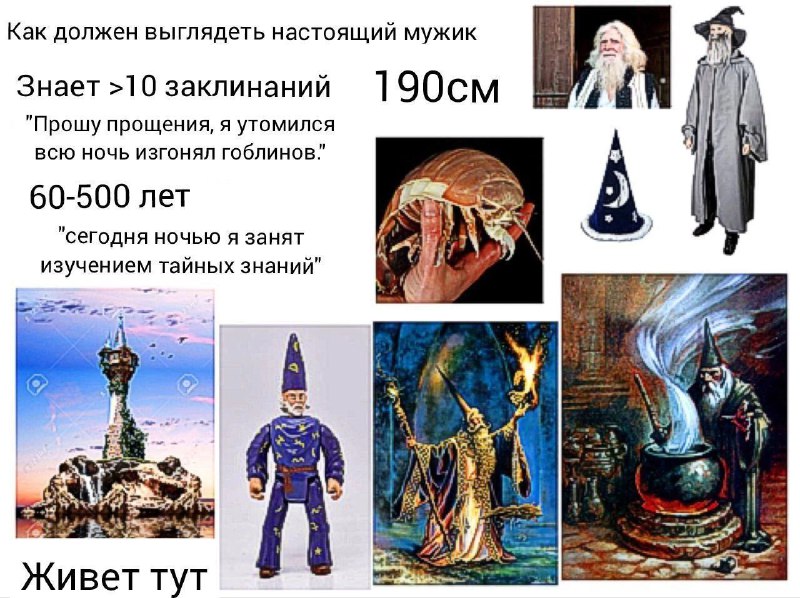 собака сутулая