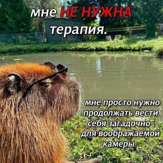 Психомир