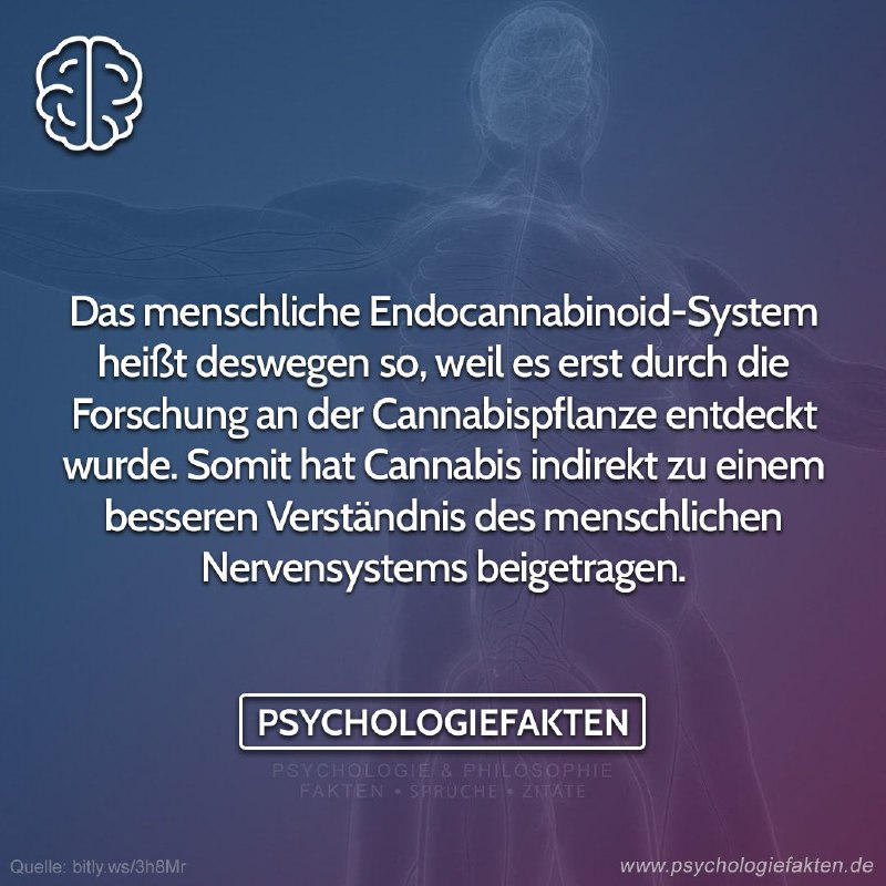 Das menschliche Endocannabinoid-System heißt deswegen so, …