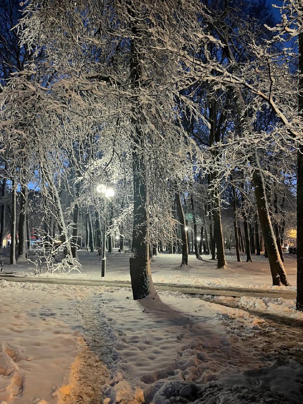 Ангелина рефлексирует