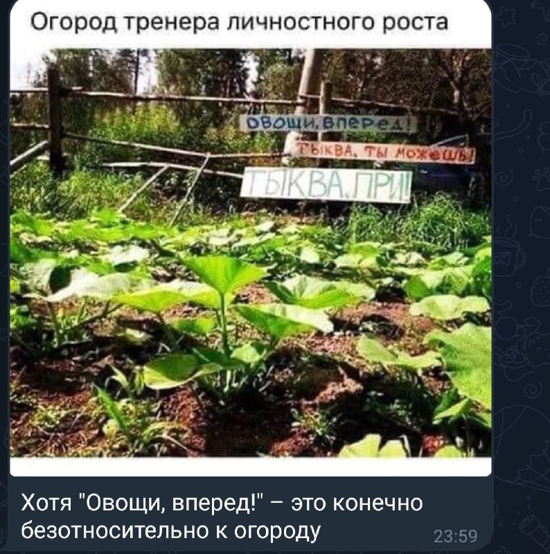 Психология в картинках