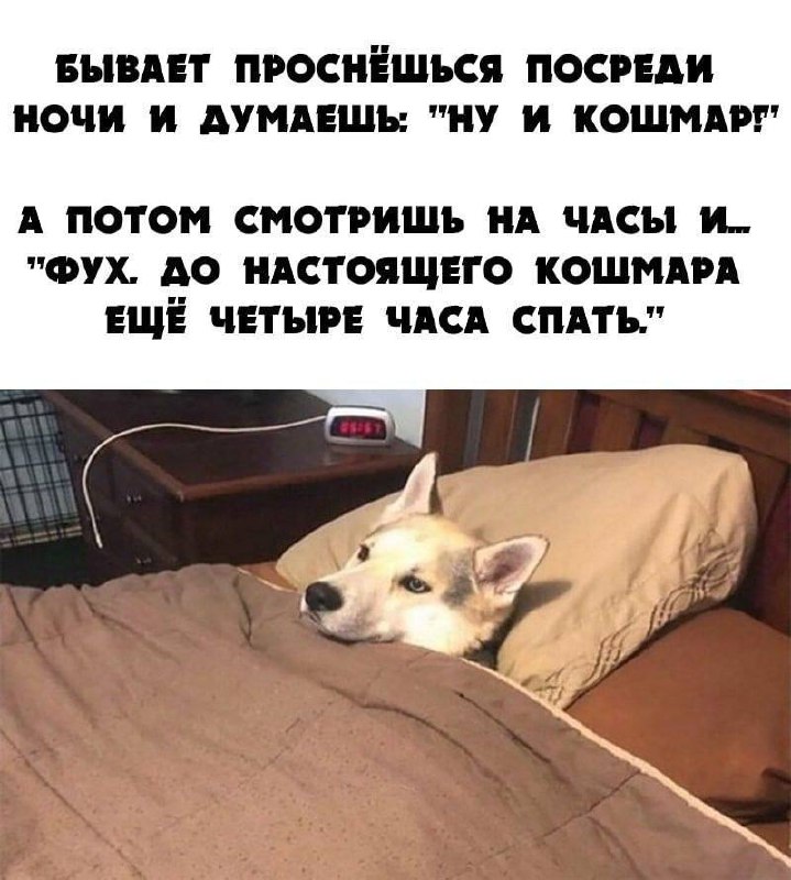 Мемотерапия