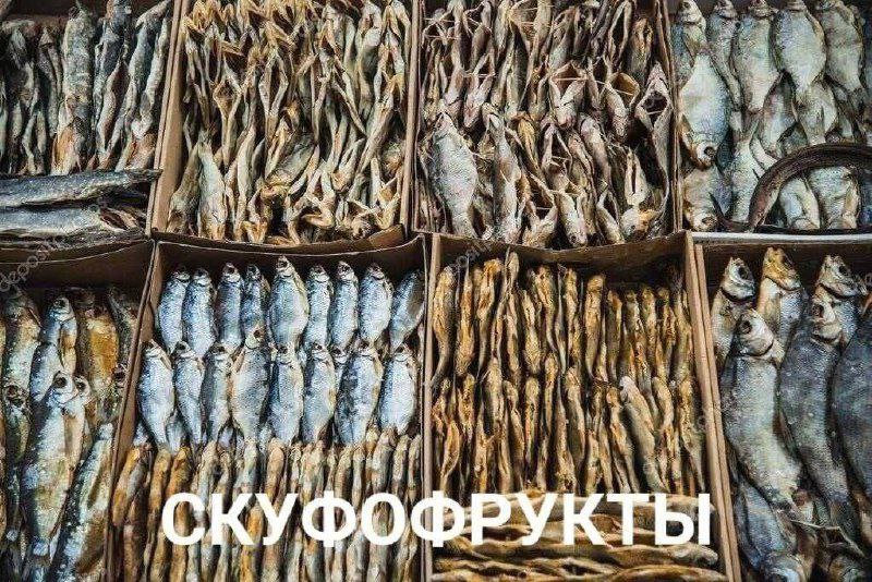 Предложка DDC
