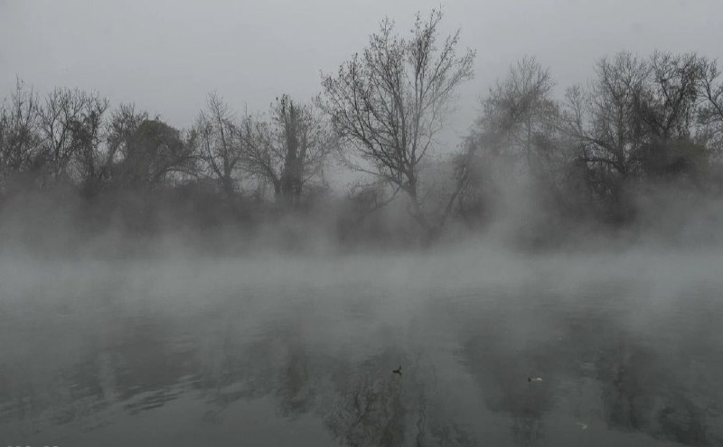 ***🌫*** **Синоптики предупредили о туманах на …