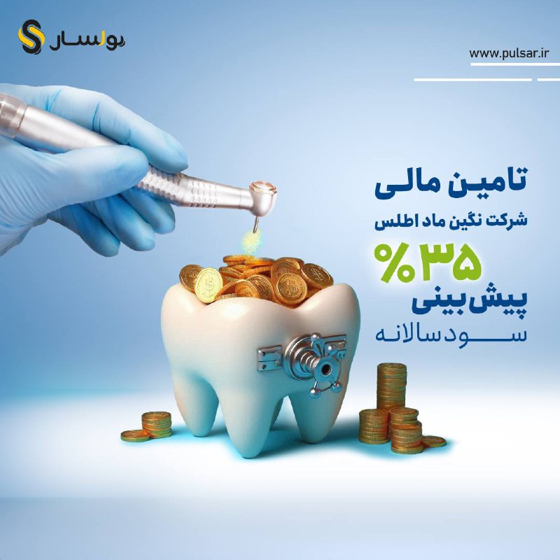 تامین مالی جمعی شرکت نگین ماد …