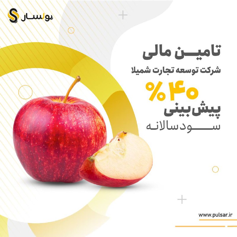 تامین مالی جمعی شرکت توسعه تجارت …