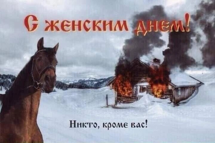 — 𝘝𝘢𝘭𝘭𝘦𝘺 𝘰𝘧 𝘵𝘩𝘦 𝘞𝘰𝘰𝘭𝘭𝘺 𝘍𝘪𝘴𝘩 …