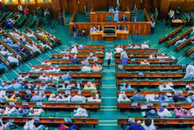 Reps ask FG to review school curriculum