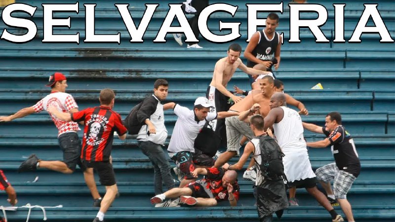 A BARBÁRIE DAS TORCIDAS É UM …