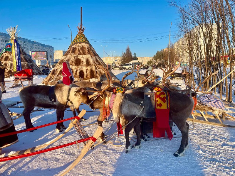 Владимир Пушкарев