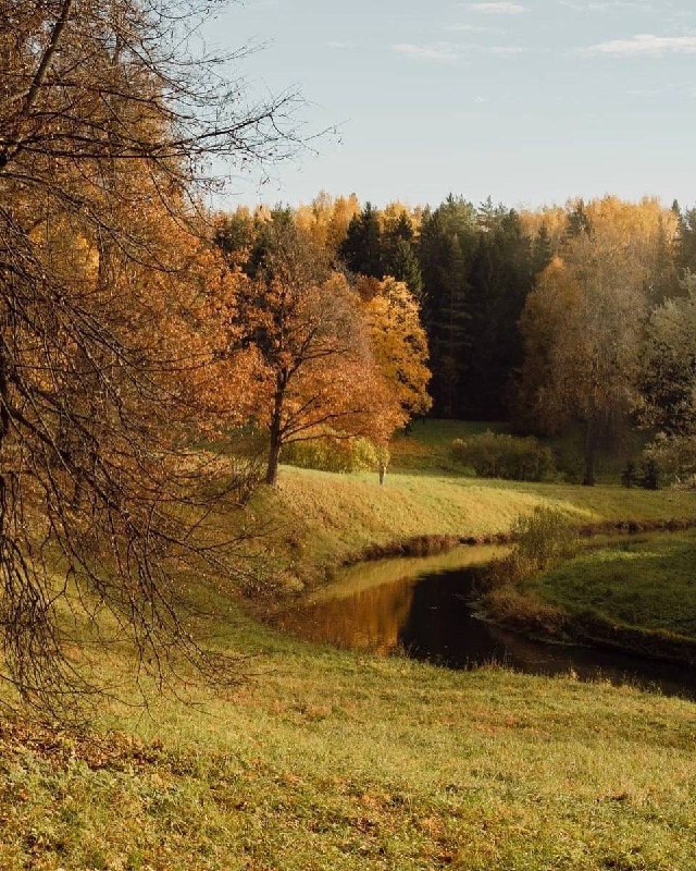 Пушкин, Царское Село, Павловск