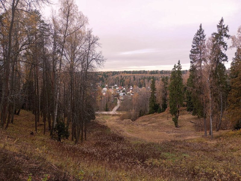 Пушкино Сегодня