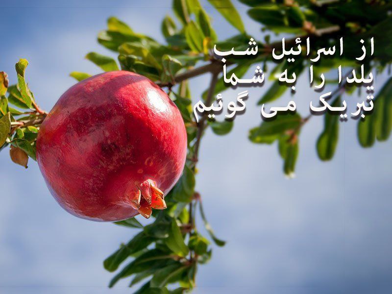 شب جیک جیک مستون سر آغاز …
