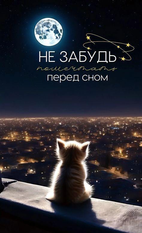 ***🌙*****Доброй ночи!**