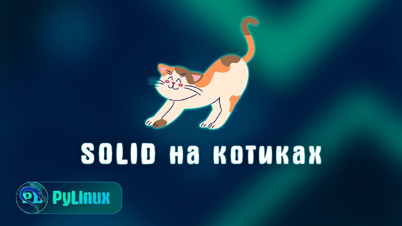 ***🐱*** **SOLID на котиках**