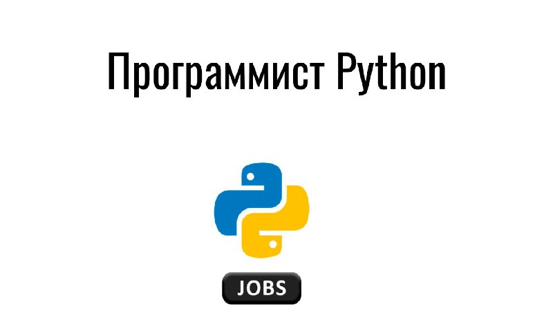 **Программист Python**