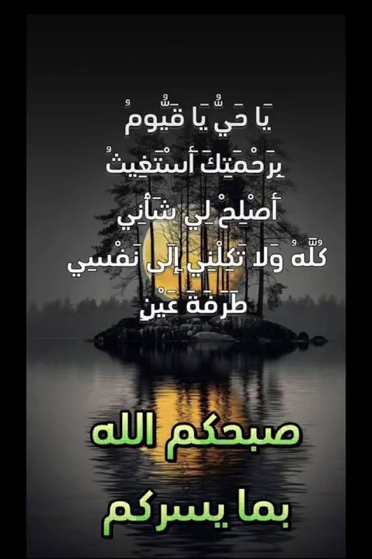 🌹زهور لاتذبل 🌹