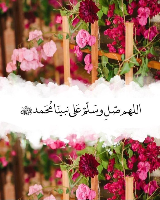 ***🌸*** « من بديعِ لطفِ الوحي …