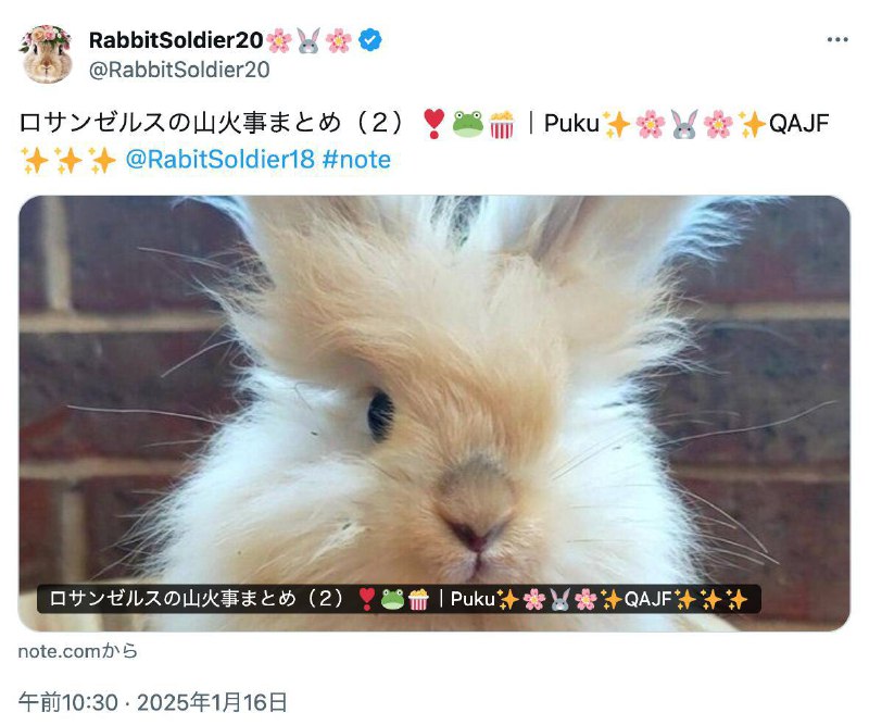 ロサンゼルスの山火事まとめ（２）***❣️******?******?***