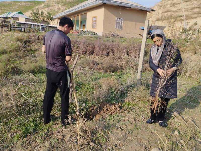 Qashqadaryo viloyati Oila va xotin-qizlar boshqarmasi