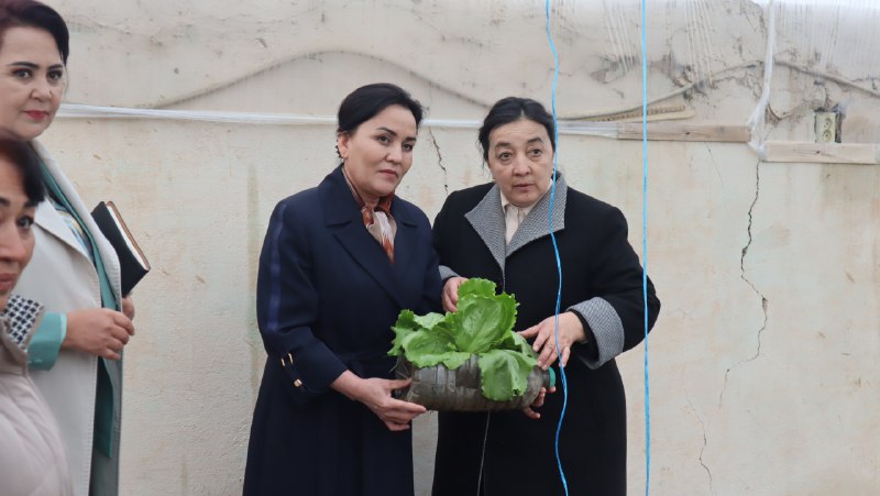 Qashqadaryo viloyati Oila va xotin-qizlar boshqarmasi